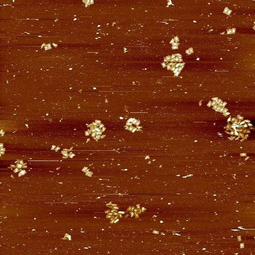 Templated Design 3 D-DNA (5μm)