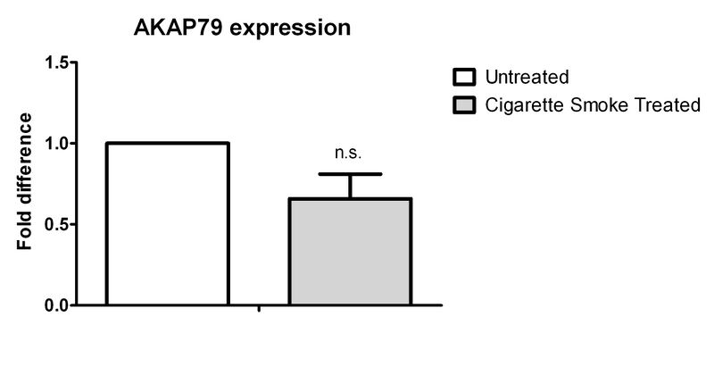 File:AKAP79 expression.jpg