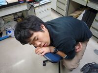 Sleeping Shingo