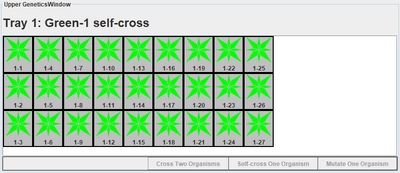 Green-1 self-cross