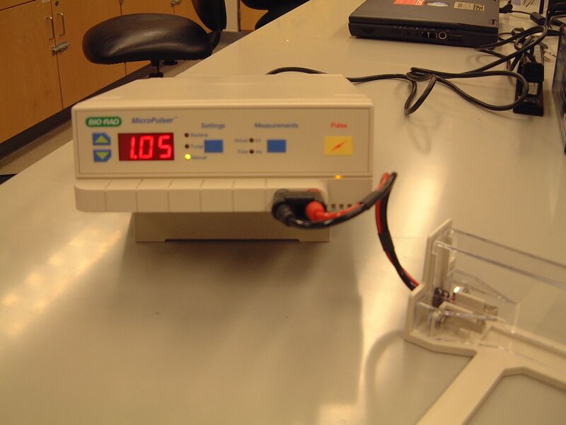 File:Macintosh HD-Users-nkuldell-Desktop-20.109(F07)-20.109(F07) Mod3 ECD-Mod3F07 wiki images-micropulser.JPG