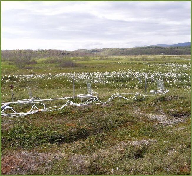 File:AbiskoMire 2.jpg