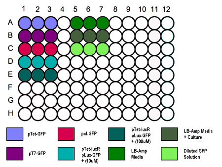 In vivo Testing 96 well plate