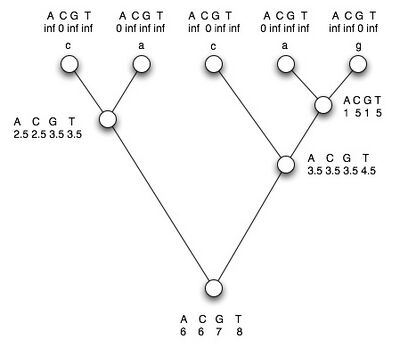 The tree we worked on last time