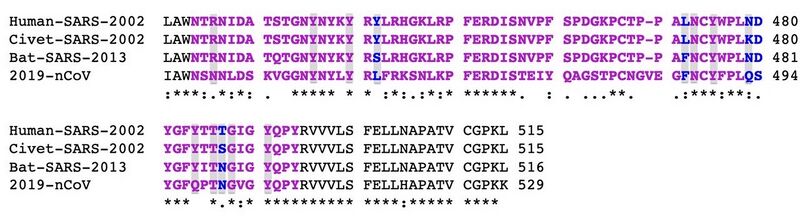 File:Maddahi F3.large.jpeg