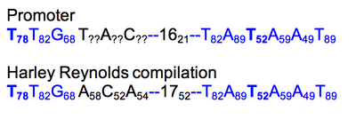 Step 2: characterize of promoter