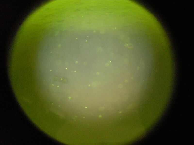 File:B 10^-7 M RA.JPG