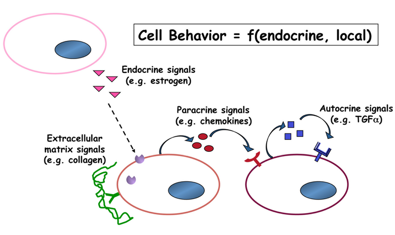 File:Signal types.tif