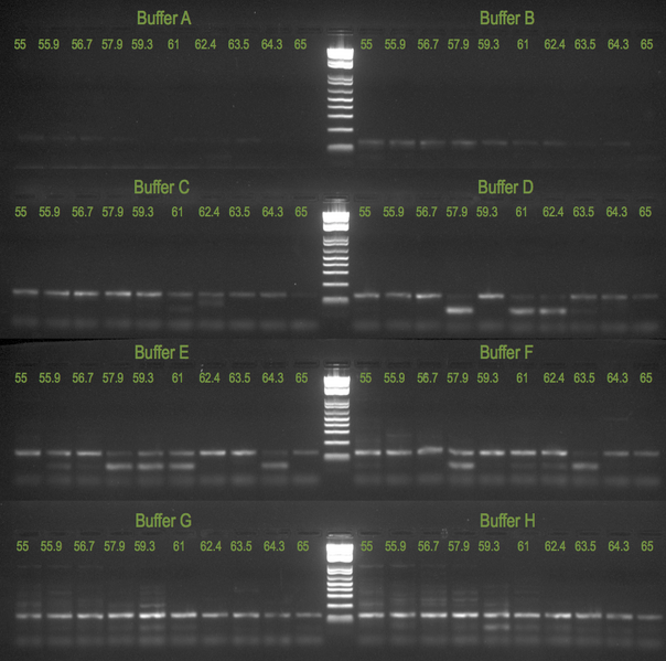 File:20130209 Gelb.png