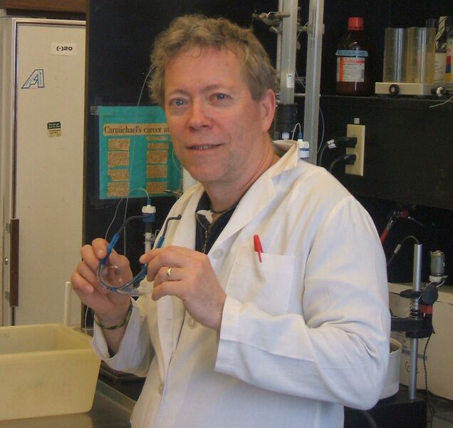 File:Bruce Stewart.jpg