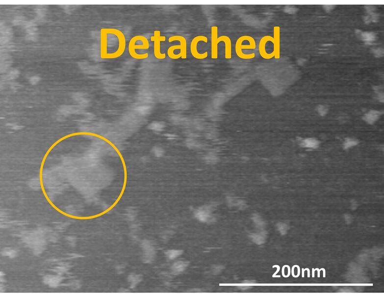 File:Field 2d tobu.jpg