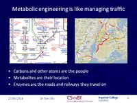 Metabolic Engineering