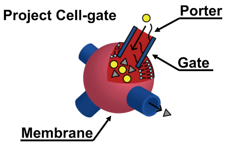 File:Projectcellgate.png