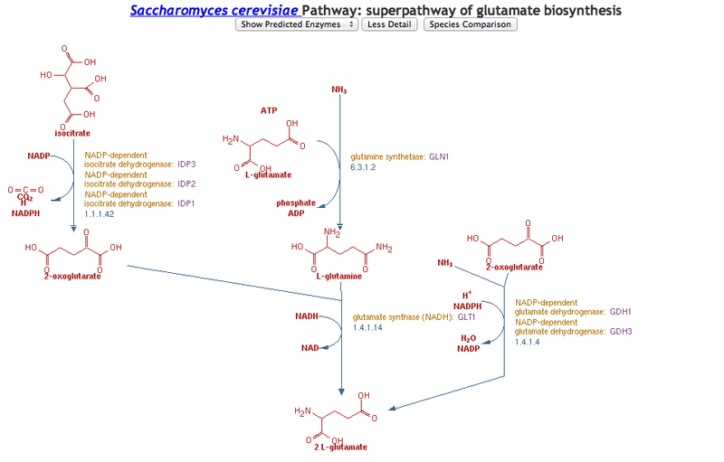 File:Screen Shot 2013-02-13 at 5.42.55 PM.png