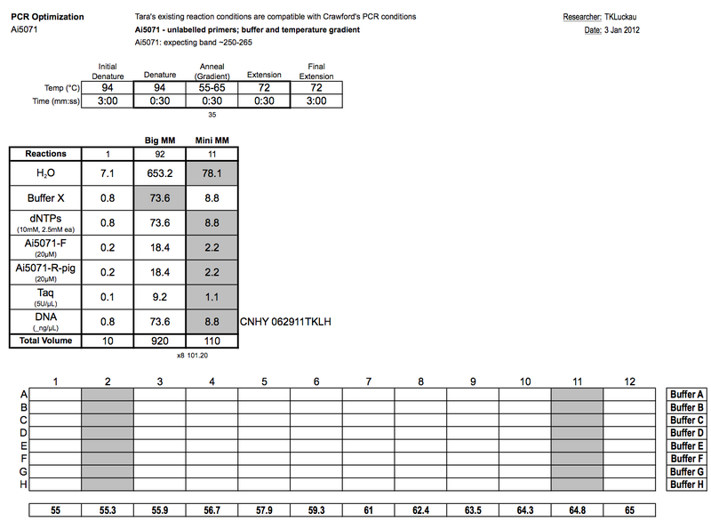 File:20120103 PCRa.png