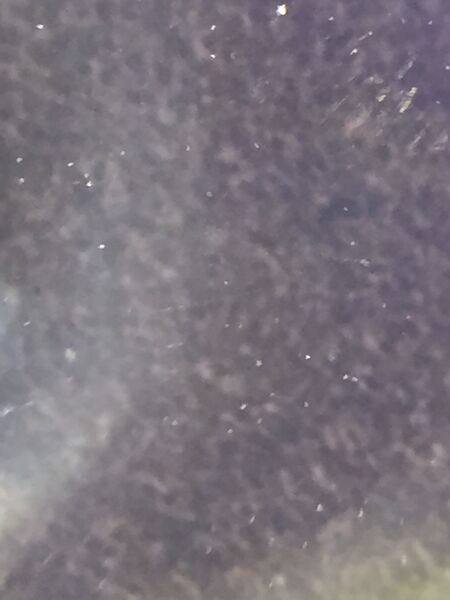 File:Image-IMG 8125.jpeg