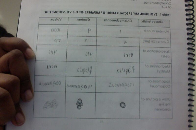 File:Photo on 1-22-15 at 8.55 PM.jpg