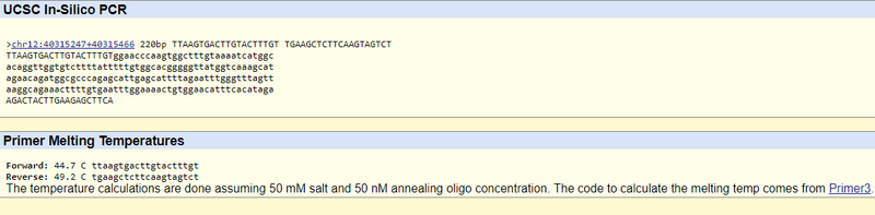 File:Screenshot (18).png