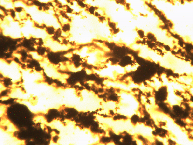 File:14500 heme-mag-au 3-4 10x .jpg