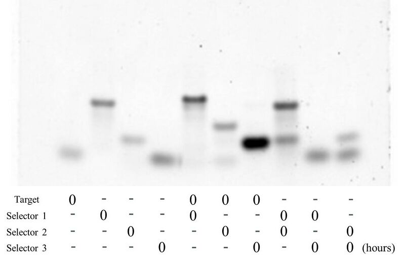 File:20120830 ②.jpg