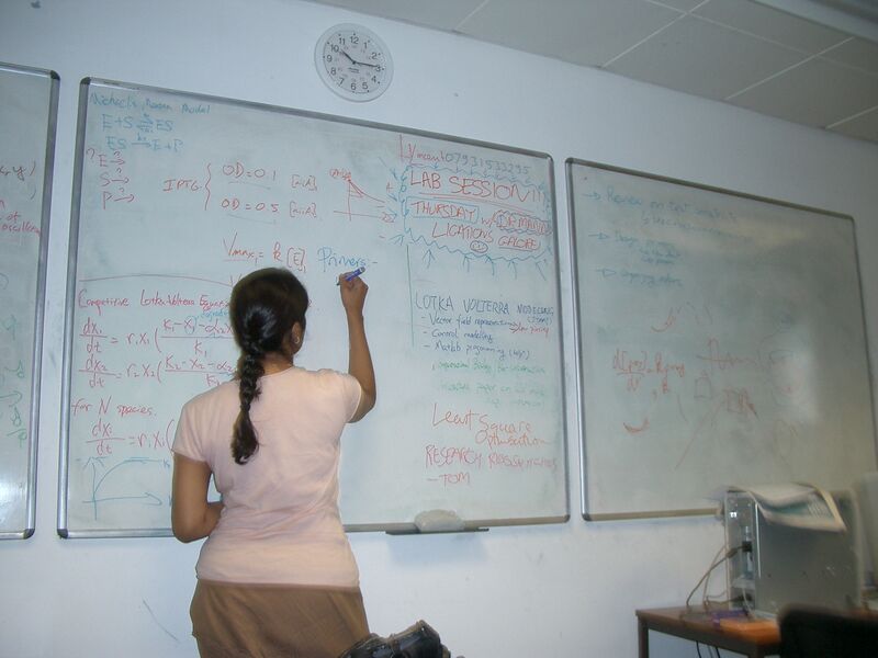 File:CIMG5766.JPG