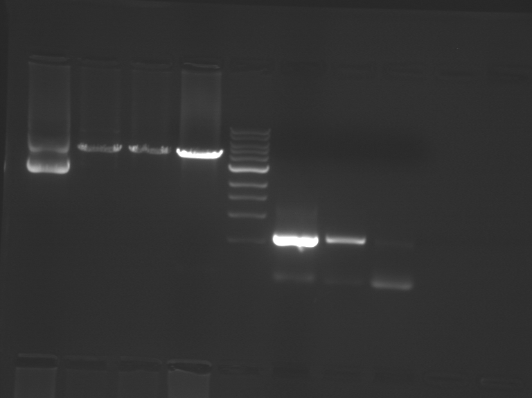 File:F12 M1D3 WF-Grn.jpg