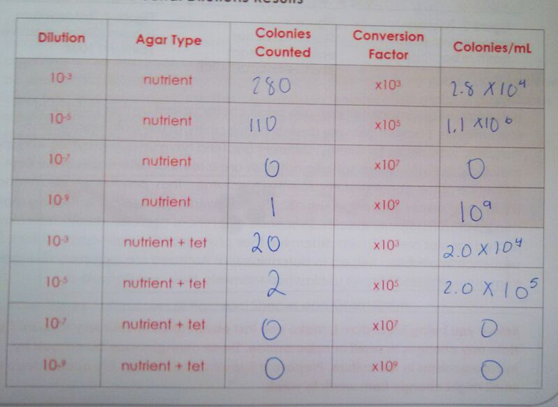 File:IMG 20150202 133545 260~2.jpg