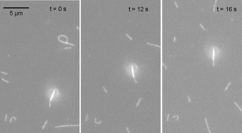 File:MagMT Fig 2.png