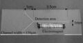 Figure 6. Salomon et al. fabricated an array of nanocantilevers on the scale of 105 nanocantilevers/cm2.
