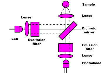 Open Fluorometer Design