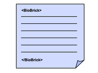 DNA & Model registries