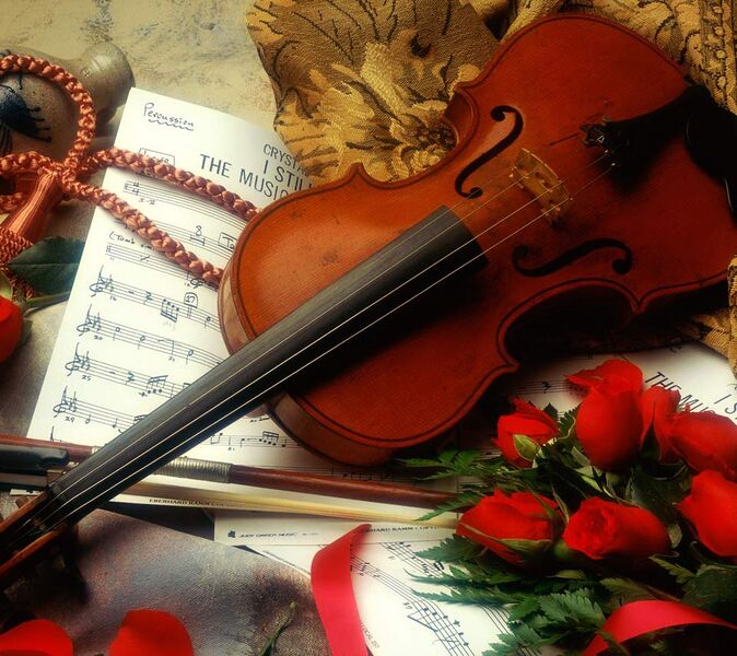 File:Violin rose.jpg