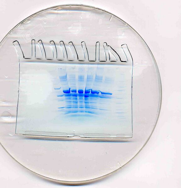 File:20.109 S08 TR-Red.jpg