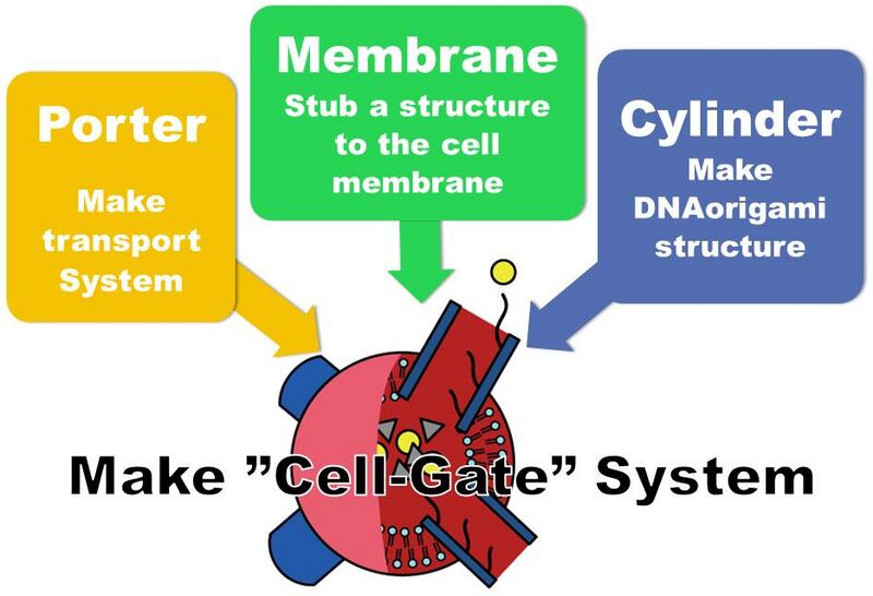 File:Format cell gate.jpg