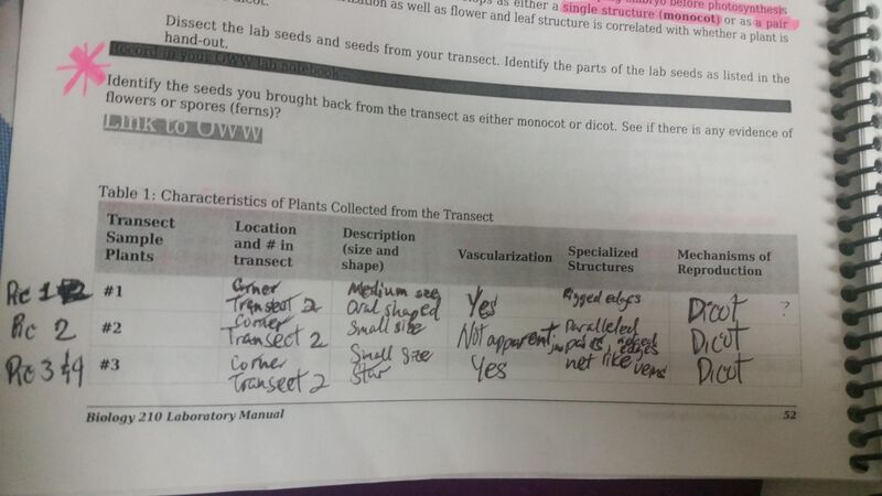 File:IMG table1pic1.jpg