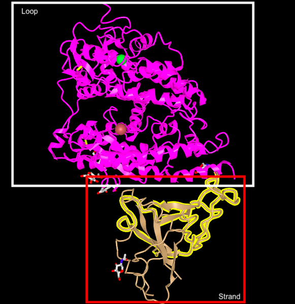 File:Map Labeled loop and strand.png