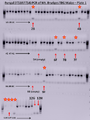 Thumbnail for version as of 19:23, 8 November 2012