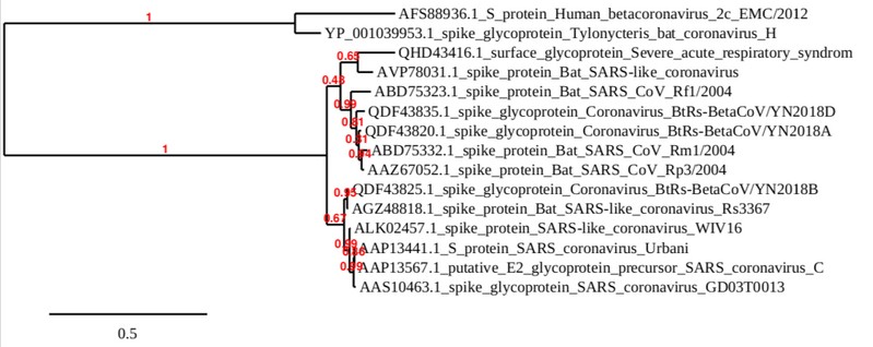 File:Owen R Dailey Phylogenetic Tree.png