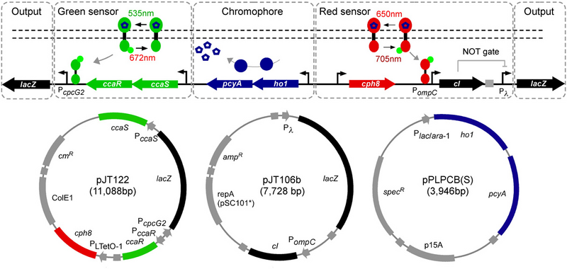 File:TWO COLOR SYSTEM.png
