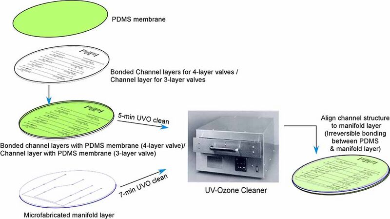 File:Valvesassembly 1.jpg