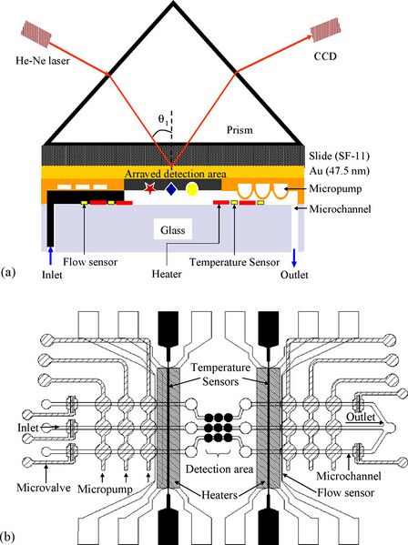 File:Figure 4 Imm.jpg