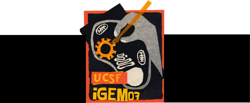 File:Logo banner.png