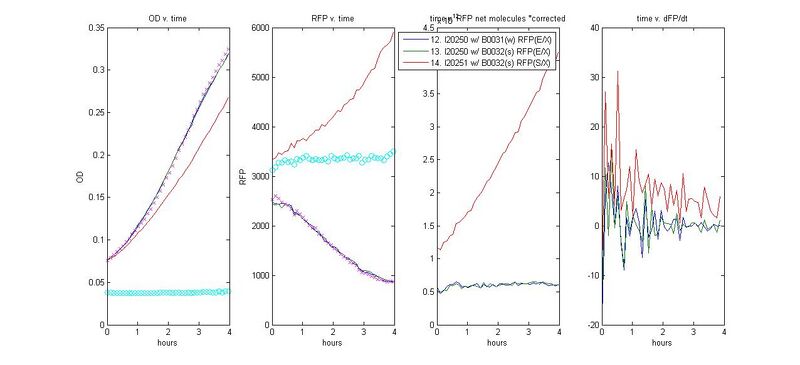 File:RFP rbs 1213.jpg