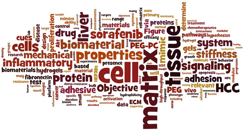 File:Thuy wordle.jpg