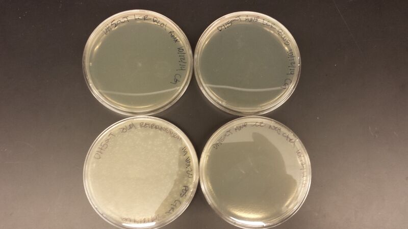 File:20141013 124934.jpg