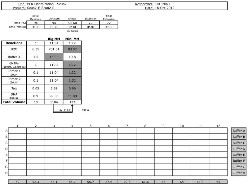 File:Luckau PCR20101019.jpg