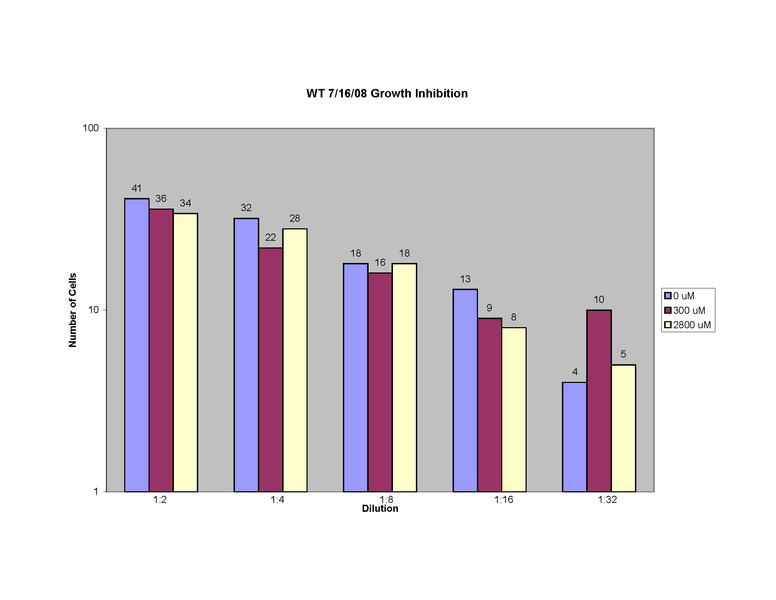 File:WT 7-16 plate assay.png
