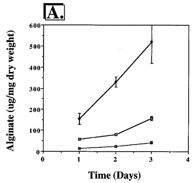 File:Alginate production.jpg