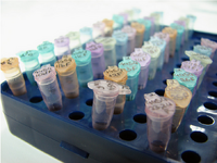 Flickr photo by Clss1cr0ck3R