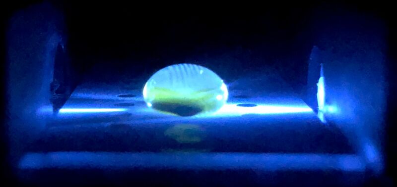 File:Middle green.jpg